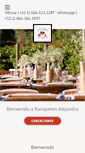 Mobile Screenshot of banquetesalejandra.com